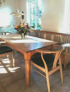 Nature Gem Near Haderslev With 160-Year-Old Beech - 2