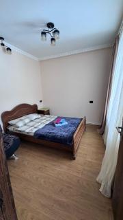 White House Apartments in Borjomi - 2