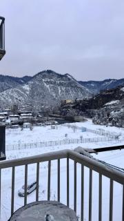 White House Apartments in Borjomi - 3