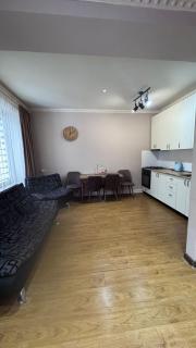 White House Apartments in Borjomi - 5