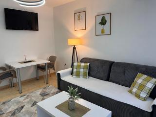 Central DELUXE Apartment - 3