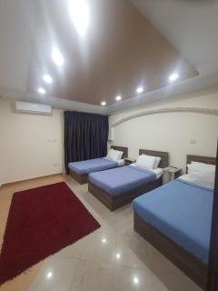 SARAYA AWAD HEGAZI STREET- families only - 7