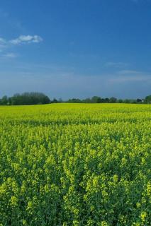 Apartment Schule 8 by Interhome - 9