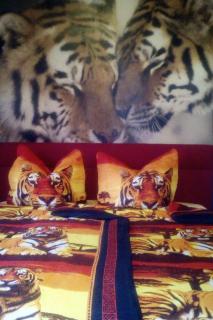 Apartment Blick in die Natur by Interhome - 2