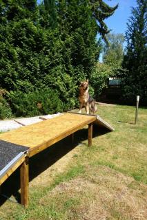 Holiday Home Finnhaus by Interhome - 2