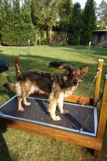 Holiday Home Finnhaus by Interhome - 1