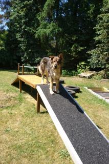 Holiday Home Finnhaus by Interhome - 3