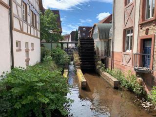 Holiday Home Trifels by Interhome - 4