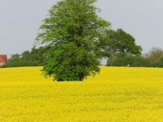 Apartment Fewo Berliner by Interhome - 2
