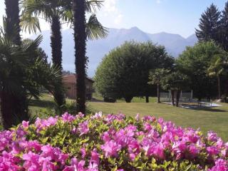 Apartment mit Blick auf den Lago Maggiore by Interhome - 1