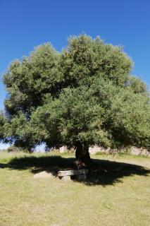 Holiday Home Stazzo mit Garten in Luogosanto by Interhome - 2