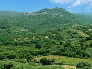 Holiday Home Stazzo mit Garten in Luogosanto by Interhome - 1