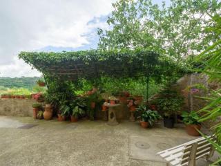 Apartment Rosa in der Toskana by Interhome - 5