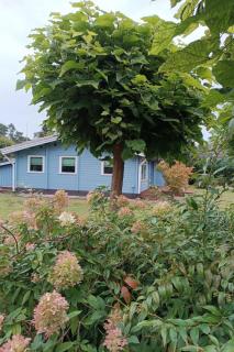 Holiday Home Dachsbau by Interhome - 2