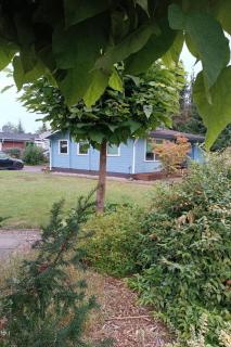 Holiday Home Dachsbau by Interhome - 1