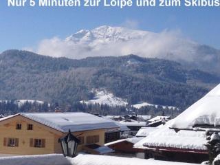 Apartment Kaiserblick by Interhome - 3