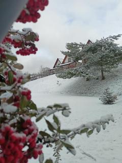 Bieszczadzki Bohater Domki 533-502-137 - 7