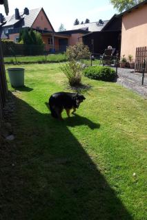 Holiday Home Schlossplatz by Interhome - 1