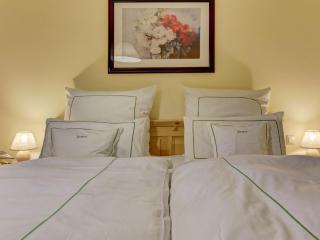 Apartment Wohnung Falkenstein by Interhome - 1