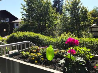 Apartment Komfortfewo für 2 Personen mit Wintergarten by Interhome - 1