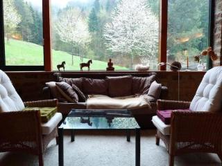 Holiday Home in Walscheid mit Terrasse- Grill by Interhome - 6