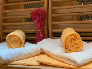 Apartment Luxusferienwohnung mit Infrarotwärmekabine by Interhome - 2