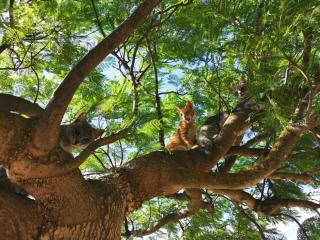 Apartment Wohnung 5 - Zwei-Zimmer-Wohnung by Interhome - 4