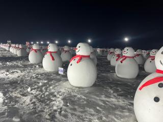 Hongge Hotel - Harbin Taiping Airport - 9