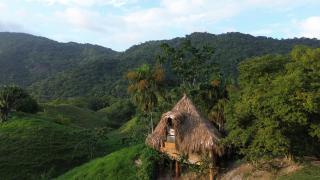 The Valley Tayrona hostel- A social jungle hostel - 8