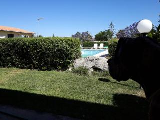 Apartment Wohnung 4 - Studio by Interhome - 3