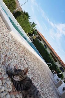 Apartment Wohnung 4 - Studio by Interhome - 1