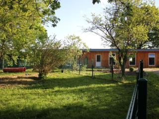 Holiday Home Waldrand in Ascheffel by Interhome - 1