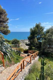 Apartment Studio 250 m vom Meer entfernt im historischen Zentrum by Interhome - 6