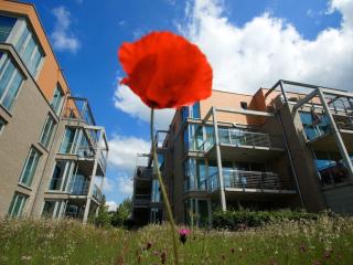 Apartment in Alt Travemünde by Interhome - 9