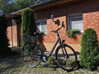 Holiday Home in Alt-Schadow mit Grill und Terrasse by Interhome - 1