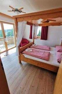 Apartment im Bayerischen Wald inkl- aktivCard by Interhome - 9