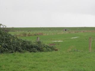 Holiday Home Großes Ferienhaus in Müggendorf mit Garten by Interhome - 8