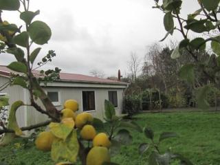 Holiday Home Großes Ferienhaus in Müggendorf mit Garten by Interhome - 4