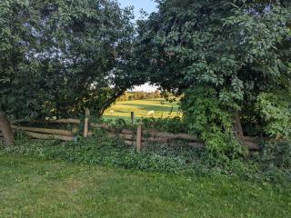 Holiday Home in Berkenlatten mit Großer Terrasse by Interhome - 2