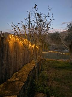 Longra Family Villa & SPA - 1