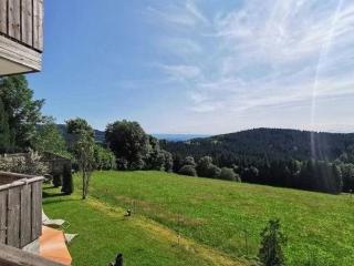 Apartment Wohnungen in Traumlage bei Sankt Englmar by Interhome - 8