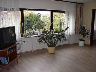 Apartment Große Ferienwohnung in Sinbronn mit Garten by Interhome - 3