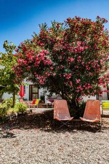 Apartment Seeadlerhorst by Interhome - 2