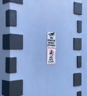 The Palms Guest House - 7