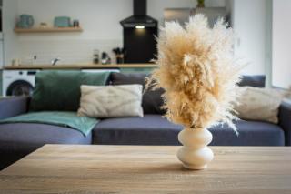 L'Alcôve, Maison 3ch avec jardin et parking - 3