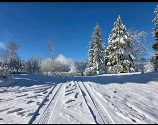 Kopitnik cosy cabin - 6
