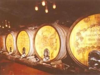 Apartment Gesamte Wohnung in Pommern by Interhome - 8