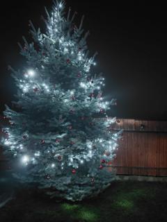 Dió vendégház - 3