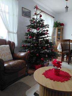 Dió vendégház - 1