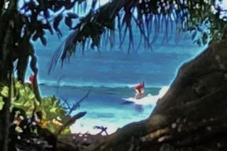 New Beachfront Jewel in the Jungle on Golfo Dulce - 3